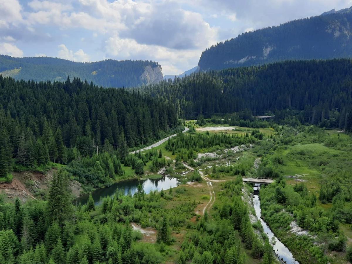 Kalinderu Skier'S Apartament Bellevue Buşteni Esterno foto