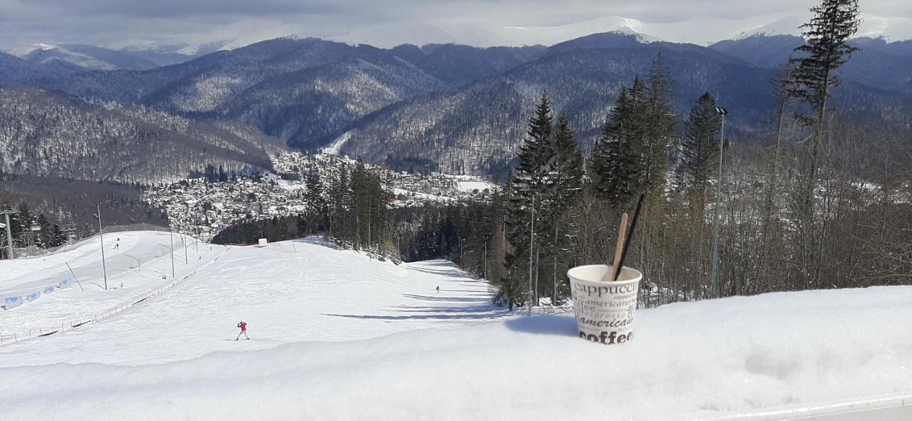 Kalinderu Skier'S Apartament Bellevue Buşteni Esterno foto