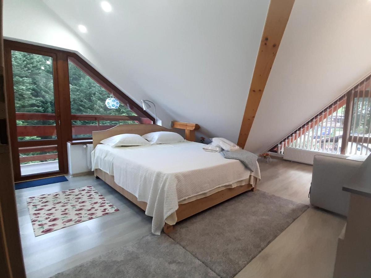 Kalinderu Skier'S Apartament Bellevue Buşteni Esterno foto